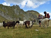 82 Merenda anche per le capre orobiche